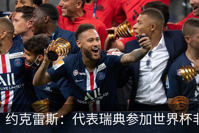 约克雷斯：代表瑞典参加世界杯非常自豪 与萨利巴交手很特别