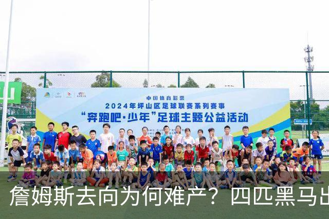詹姆斯去向为何难产？四匹黑马出现加剧混乱